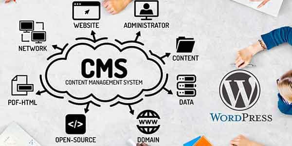 CMS Development Company in India